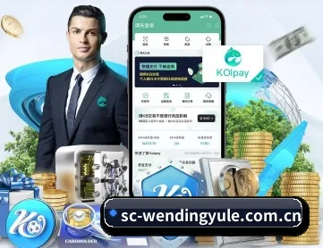问鼎娱乐 APP 深度功能